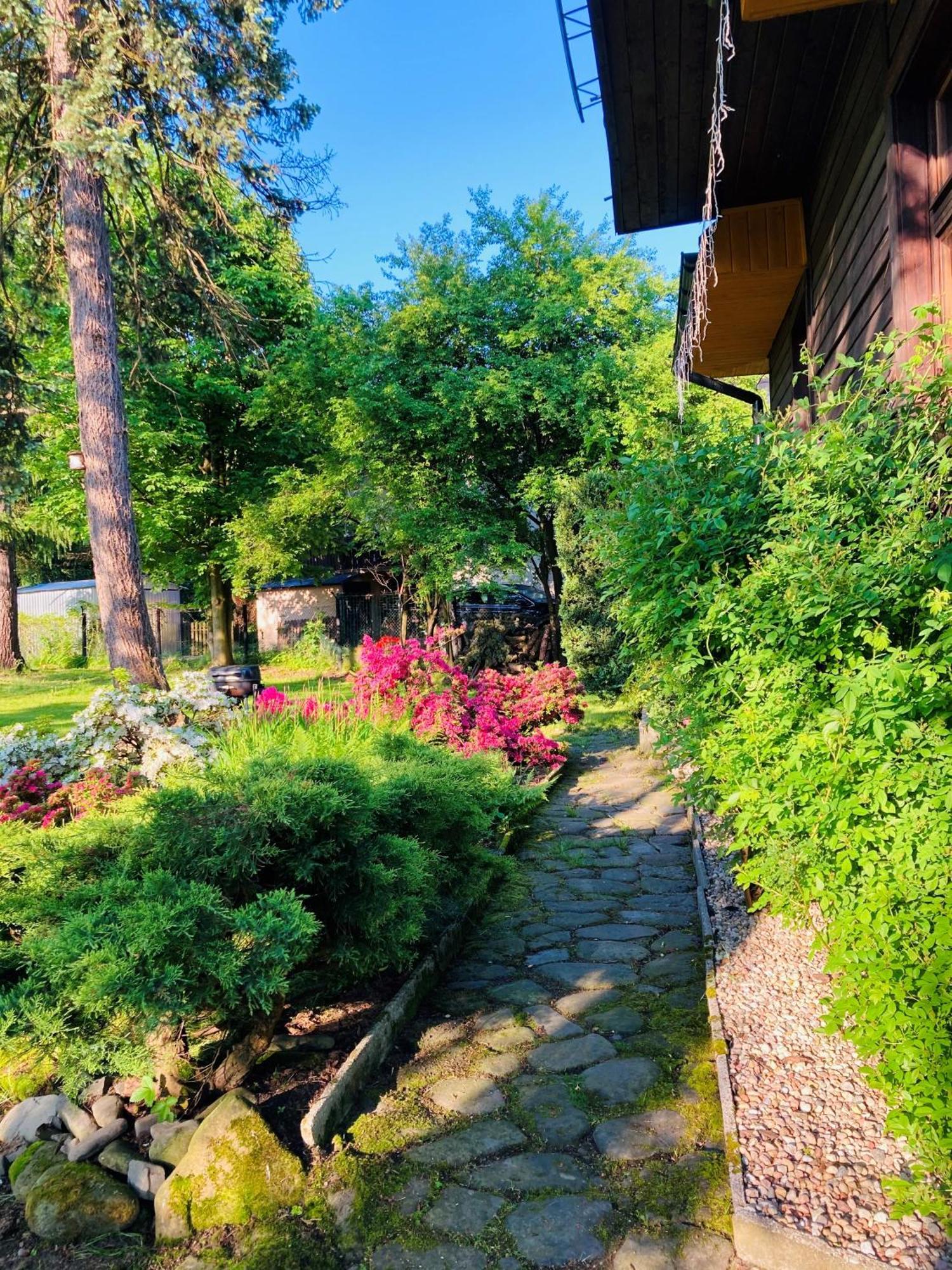 シュチルク Odskocznia Houseヴィラ エクステリア 写真